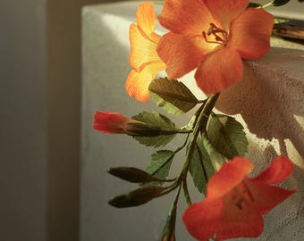DIY Crepe Paper Trumpet Creeper Kit | Handmade Paper Flower Vine Craft | Realistic Floral Decoration
