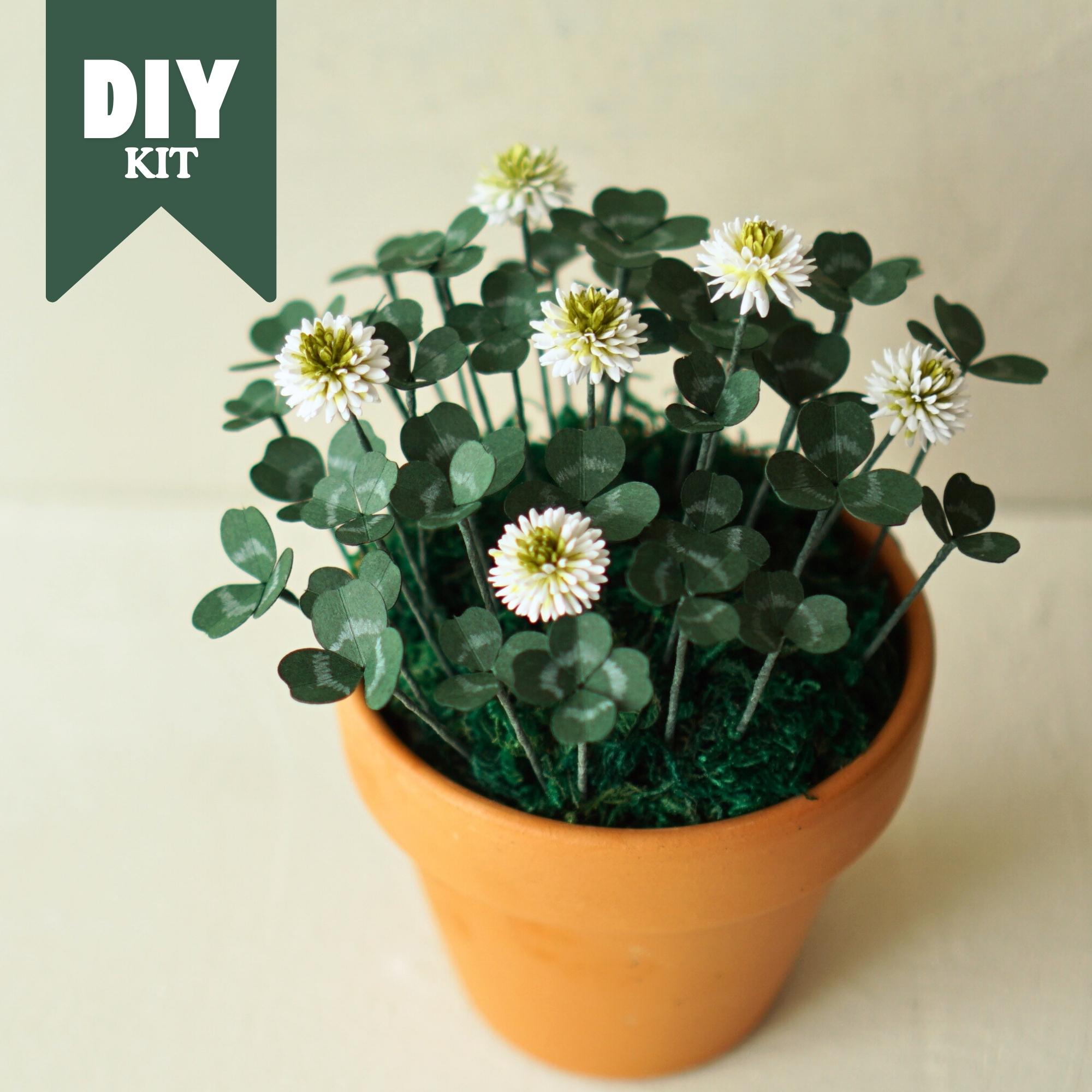 DIY Clover Paper Flower Kit – Handmade Botanical Craft Kit – Crepe Paper Floral Art – St. Patrick’s Day Clover Decoration