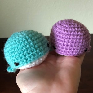 Teeny Tiny Whale