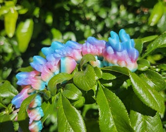 Rainbow Kaida Cloud Dragon Flexi Fidget Toy-Ready to Ship