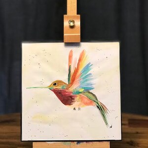 Rainbow Hummingbird