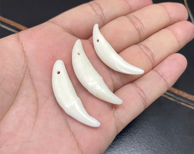 Large Wolf Tooth Necklace Wolf Teeth Necklace Wolf Necklace Etsy