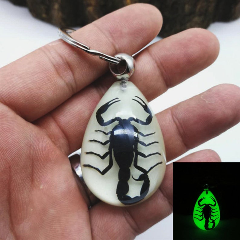 Luminous Scorpion Keychain and Transparent Resin Scorpion Etsy