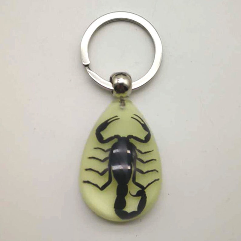 Luminous Scorpion Keychain and Transparent Resin Scorpion Etsy