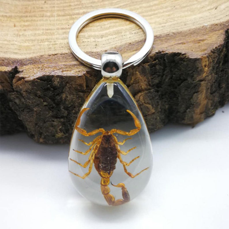 Luminous Scorpion Keychain and Transparent Resin Scorpion Etsy