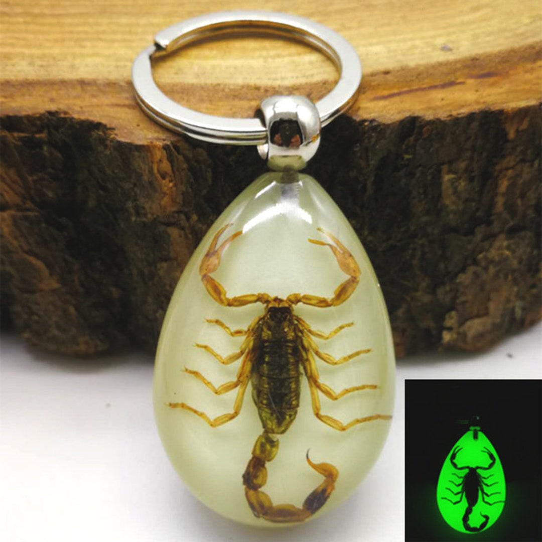 Luminous Scorpion Keychain and Transparent Resin Scorpion Keychain Etsy