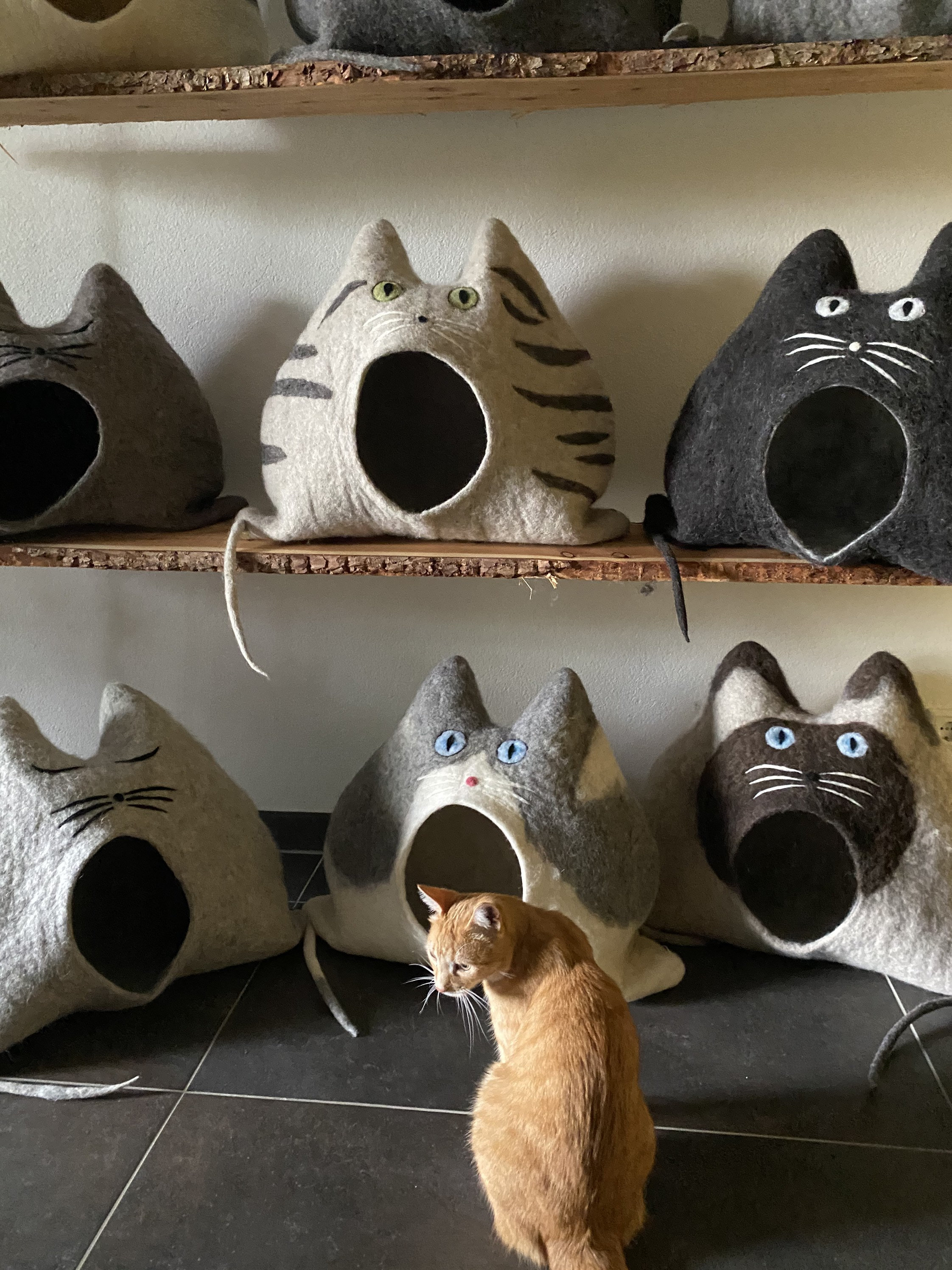 Une Maison Pour Votre Chat - Style Appartement, Idée Cadeau Les Amis Chats. Grotte Chat, Laine, Lit 