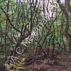 Acrylic Painting Print: Alaskan Woods Original Artwork Forest Painting
