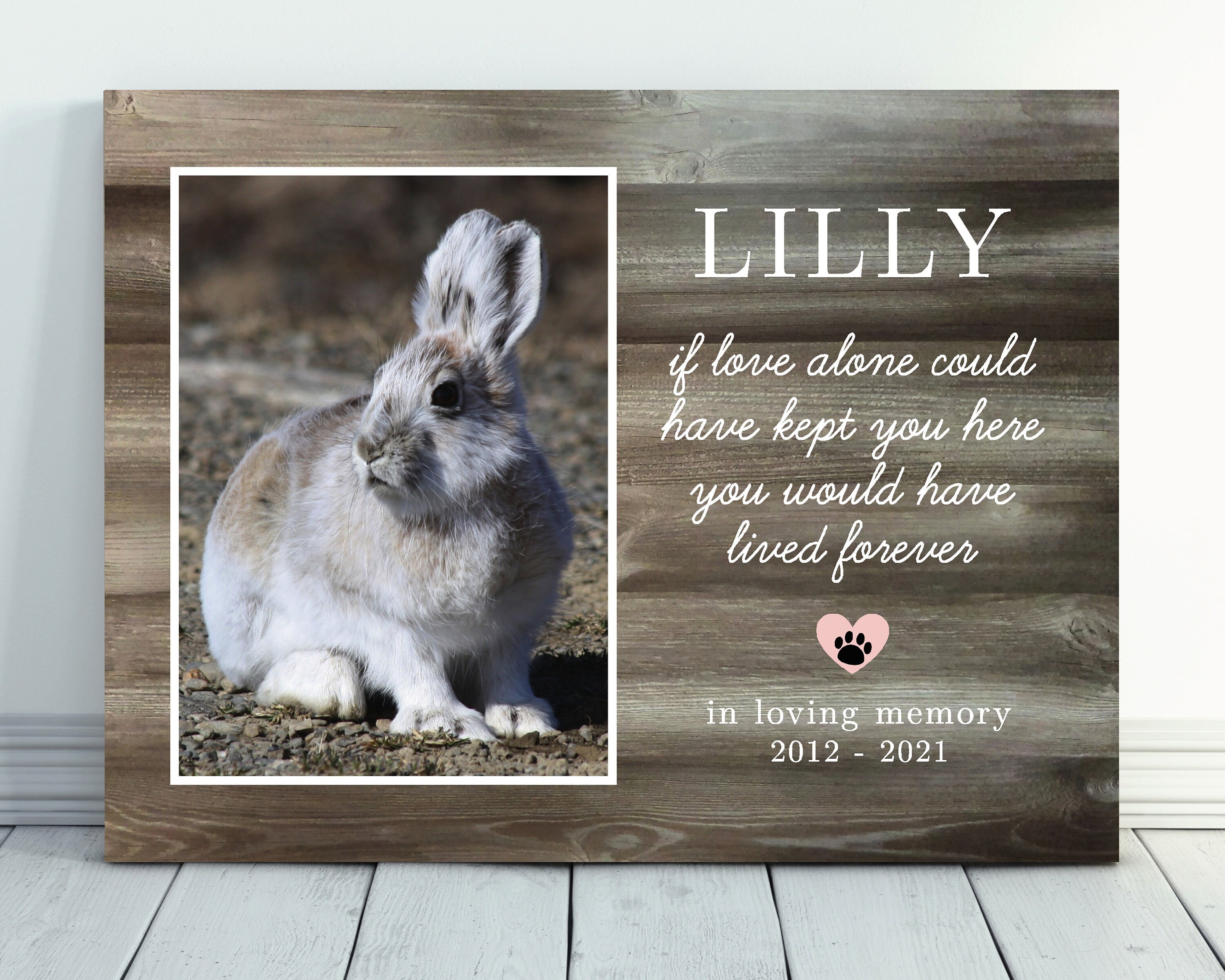 Personalized Pet Memorial Gift Rabbit Memorial Gift Pet Loss Etsy