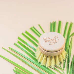 May include: A wooden dish brush with a yellow bristle head and a wooden handle with the text "Eco Roots" and a leaf design. The brush is on a green palm leaf.