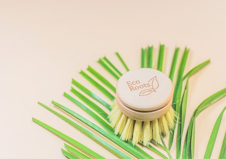 May include: A wooden dish brush with a yellow bristle head and a wooden handle with the text "Eco Roots" and a leaf design. The brush is on a green palm leaf.