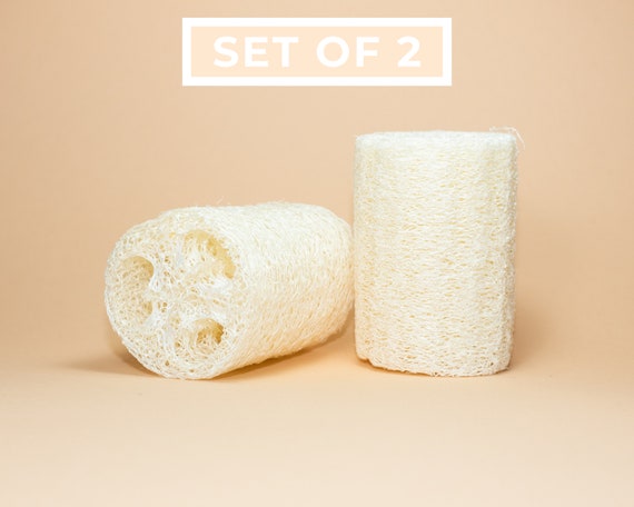 Natural Loofah Set Of 2 | Loofah Sponge | Zero Waste Loofah | Plastic-Free Kitchen | Dish Sponge | Loofah Body Scrubber | Dish Scrubber