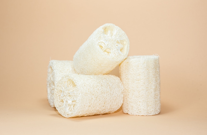 Natural Loofah Set Of 2 | Loofah Sponge | Zero Waste Loofah | Plastic-Free Kitchen | Dish Sponge | Loofah Body Scrubber | Dish Scrubber image 2