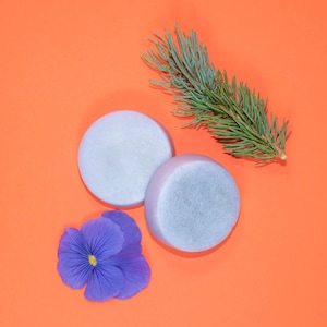 Pode incluir: Duas barras de sab&atilde;o redondas de cor cinza claro sobre um fundo laranja brilhante. Tamb&eacute;m h&aacute; um ramo de agulhas de pinho verdes e uma flor de pensamento p&uacute;rpura no fundo.