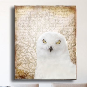Owl Bird Photographic Print Personalize Canvas Art With Owls Lady Snowden In Her Orchard Great Gift Landscape Framed Nature Prints Prints Art Collectibles Jewellerymilad Com