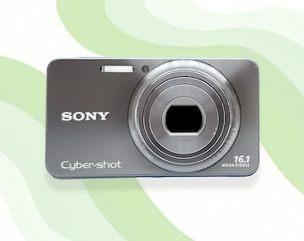 Sony Cyber-shot DSC-W570 16.1MP 5x Optical Digital Camera SILVER