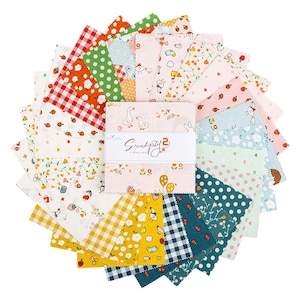 Może przedstawiać: Zestaw kolorowych kwadratów materiału ułożonych w okrąg. Tkaniny mają różne wzory, w tym grochy, kratę, kwiaty i fantazyjne ilustracje. Centralna etykieta głosi "Serendipity 2".