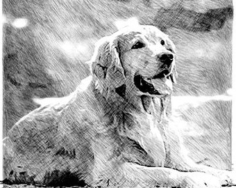 Dog Sketches Etsy