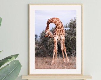 Giraffe Wall Art | Animal Nursery Print | Original Nature Wall Art | Nursery Decor | Giraffe Photo Print | South Africa Safari Photography