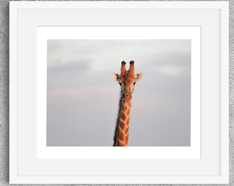 Giraffe Nursery Print | Giraffe Wall Decor | South Africa Safari Photography | Original Nature Wall Art | Nursery Decor | Animal Photo Print