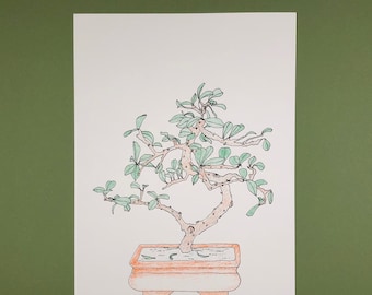 Bonsai Tree | A4 Riso Print