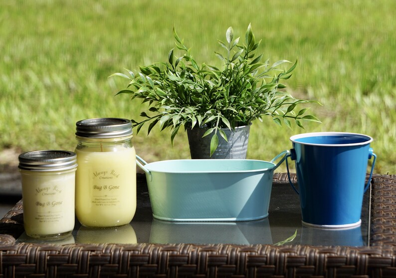 Citronella Candle Patio Candle Bugs B Gone Candle Etsy