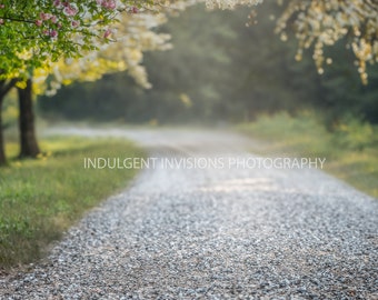 Spring Gravel Road Digital Background