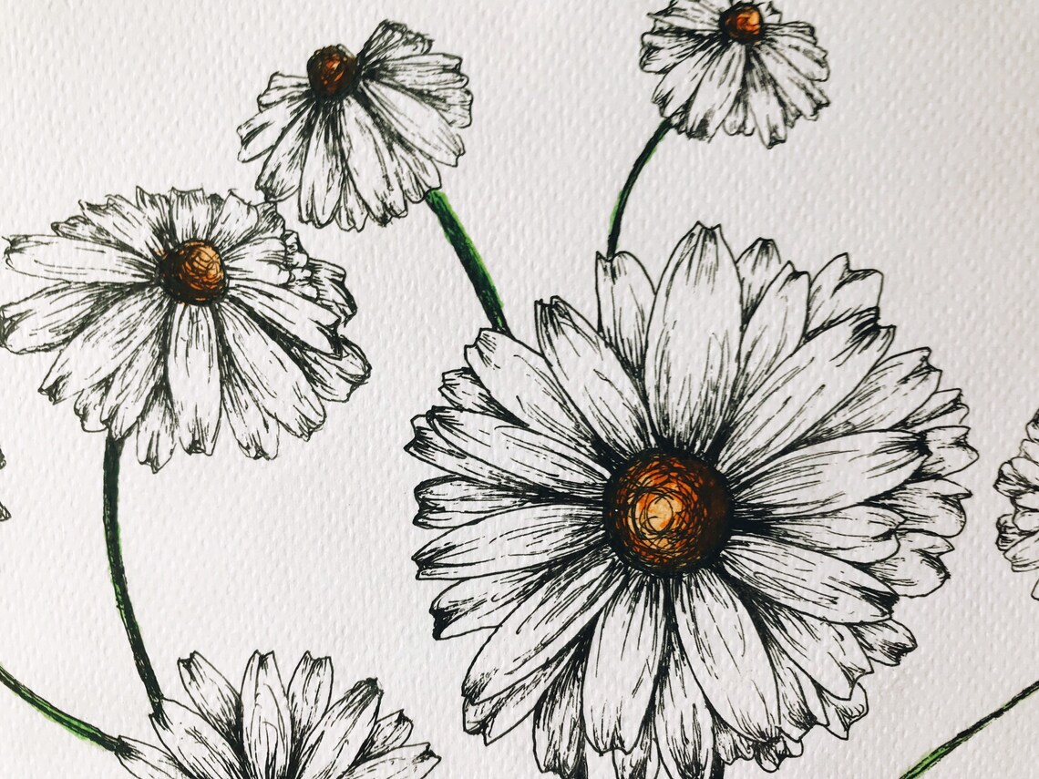 Summer Daisies Etsy