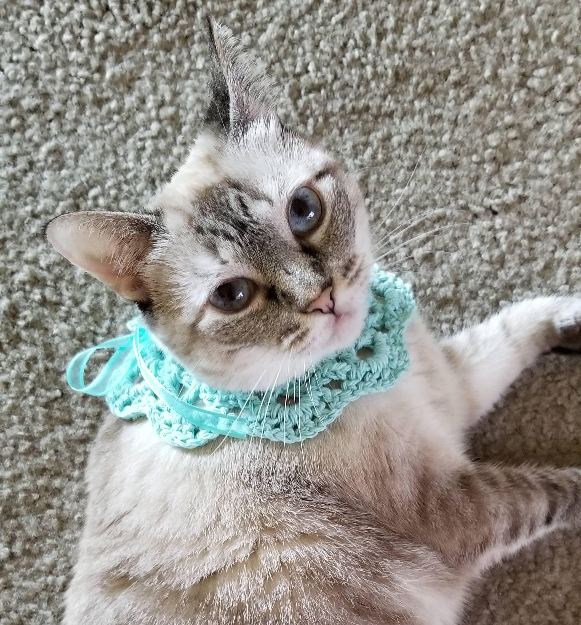 Crochet Cat Collar Handmade Etsy UK