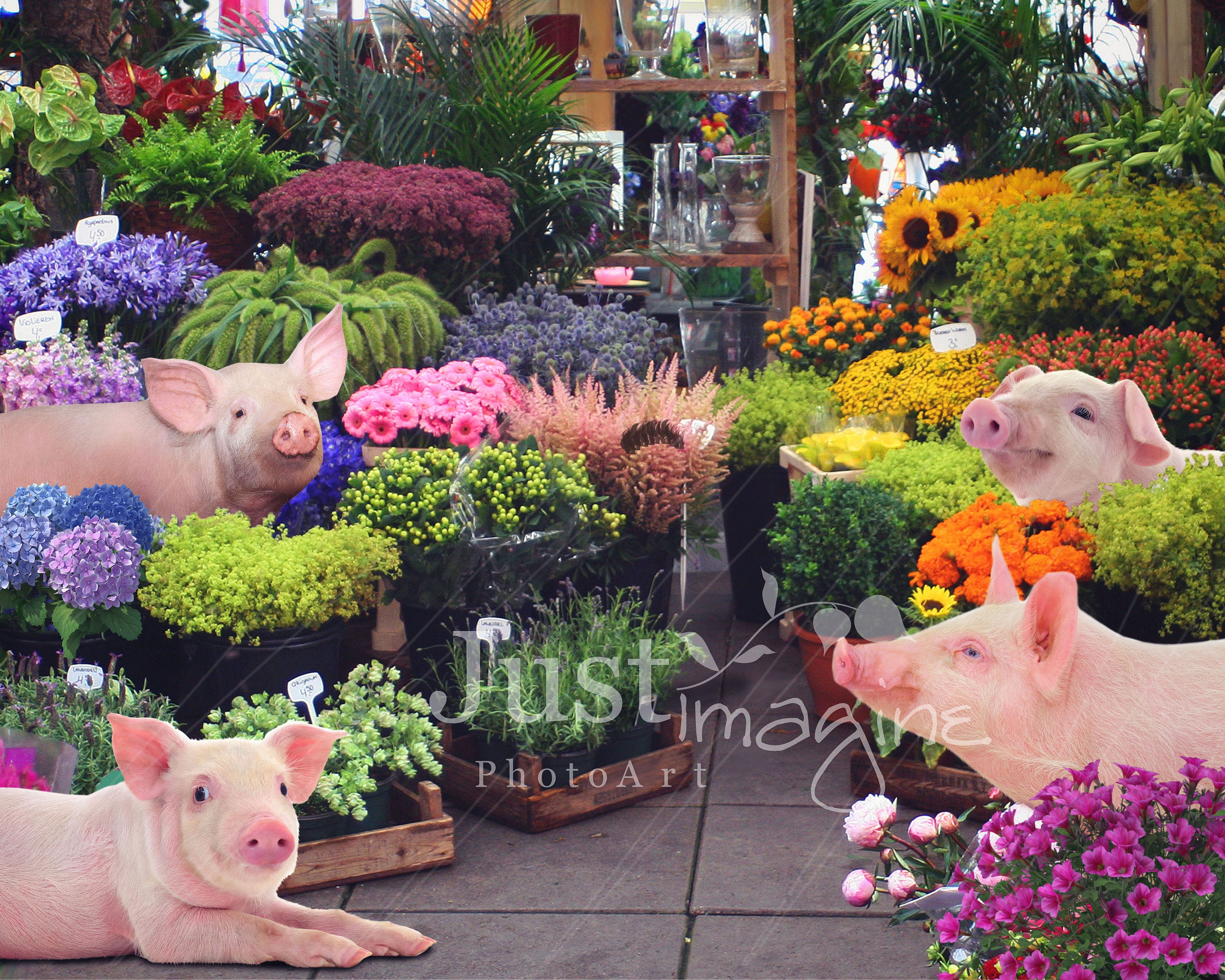 Pigs and Flowers Digital Background, Pigs, Flowers, Flower Shop - Etsy