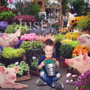 Pigs and Flowers Digital Background, Pigs, Flowers, Flower Shop