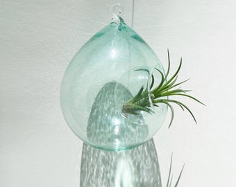 Handblown Glass Air Planter with Live Air Plant