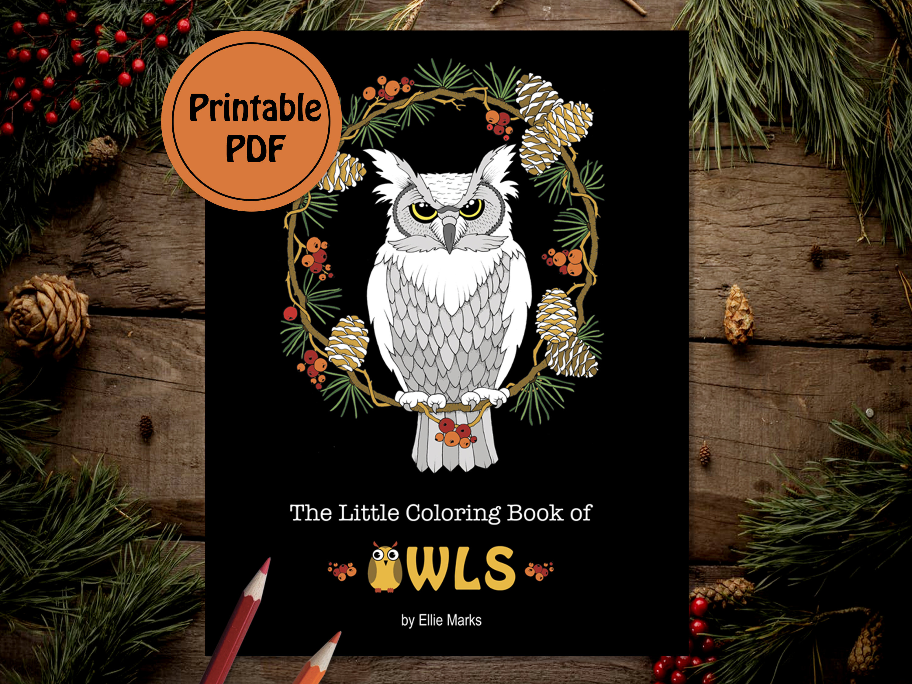 The Little Coloring Book of OWLS - Print At Home PDF