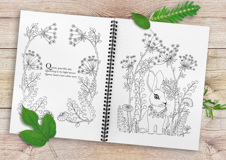 Peut inclure: Livre de coloriage ouvert sur une double page. Une page pr&eacute;sente du texte, l'autre une illustration de lapin. Le texte se lit comme suit : &laquo;  Quaint, graceful, airy, Quivering in the light breeze, Queen Anne's lace white stars. &raquo; Le lapin est entour&eacute; de fleurs.