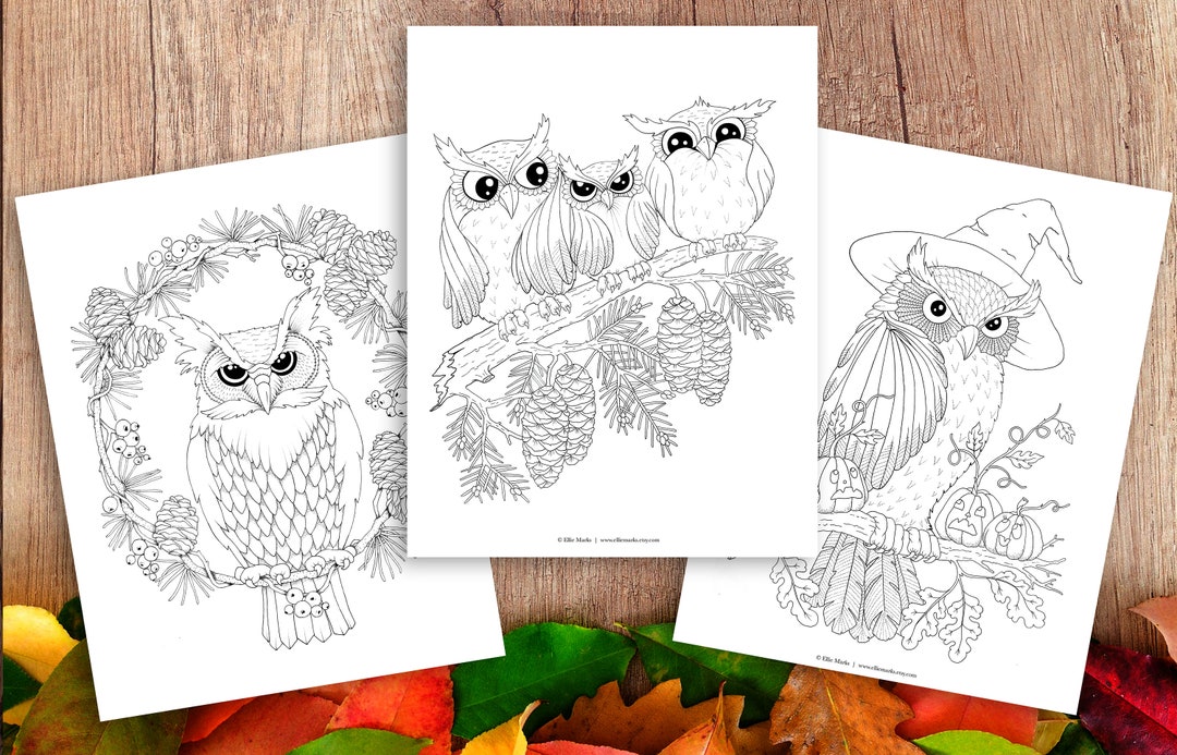 Spectacular Owls - 3 Coloring Pages - Etsy