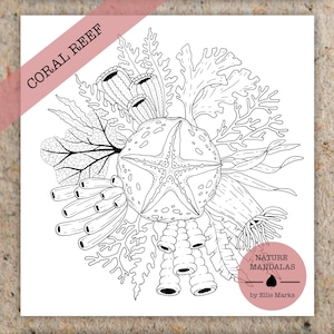 Eingekreist in der Natur — Handgezeichnetes botanisches Malbuch für Erwachsene, printable PDF Instant Download Bild 12