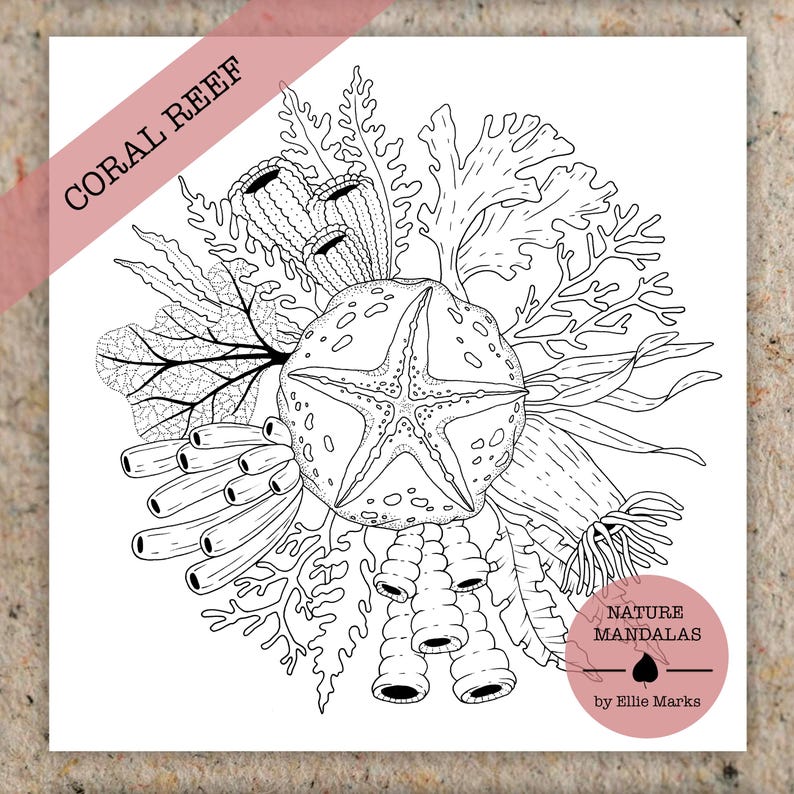 Eingekreist in der Natur — Handgezeichnetes botanisches Malbuch für Erwachsene, printable PDF Instant Download Bild 12