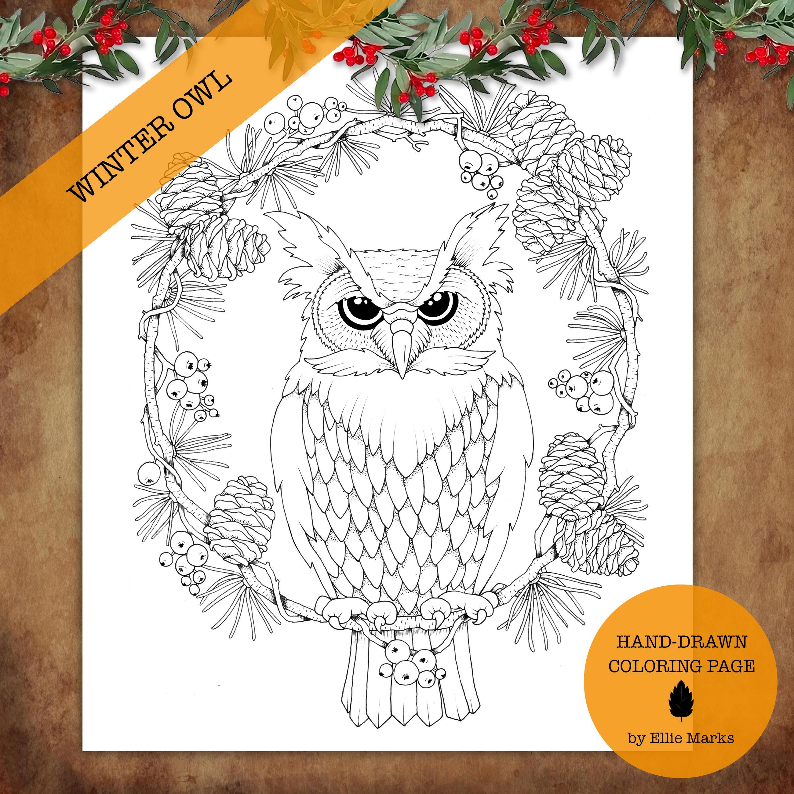 Winter Owl Coloring Page: Christmas Holiday Illustration (PDF Download)