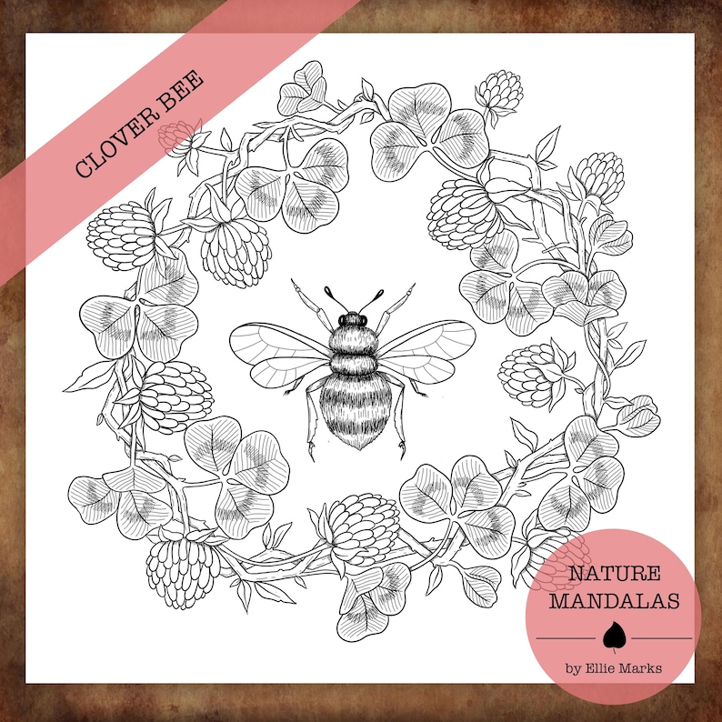 Eingekreist in der Natur — Handgezeichnetes botanisches Malbuch für Erwachsene, printable PDF Instant Download Bild 6