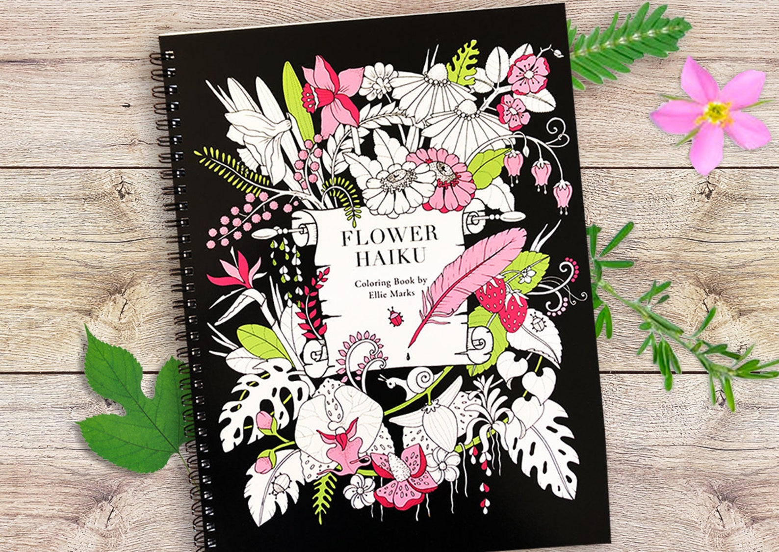 Chalkboard style adult coloring book - Chalk-Style Botanicals Deluxe  Coloring Book - Color with markers, colored pencils or gel pens