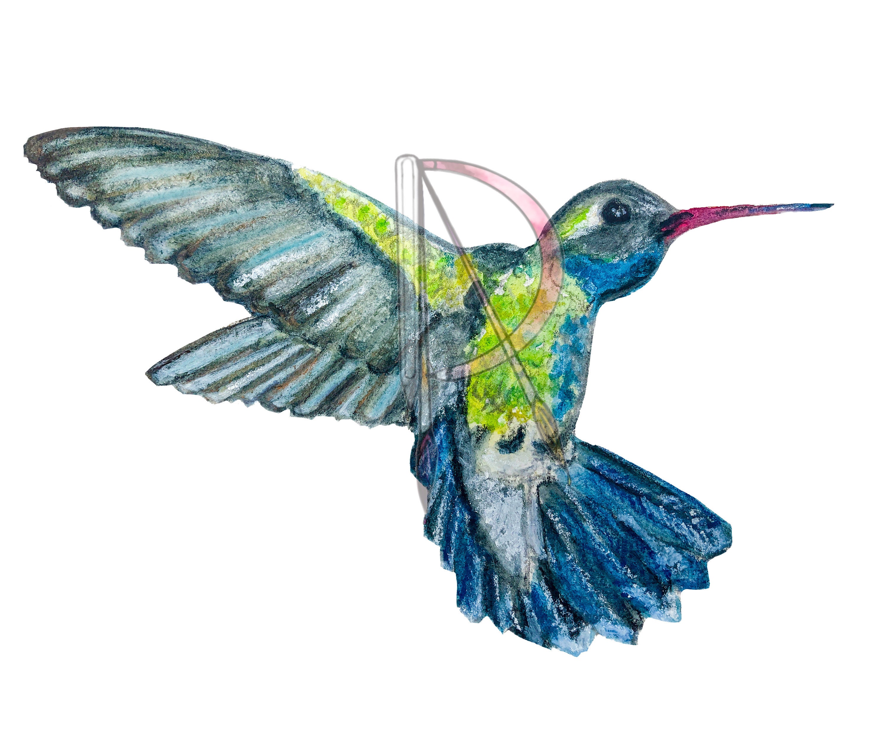 Download Blue Green Hummingbird Printable Jpg Svg Etsy