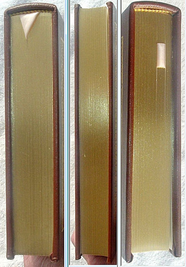May include: Close-up of the spine of a hardback book with a brown leather cover and gold-colored lettering. The book is closed and the spine is visible.