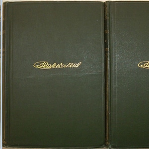 The Personal History of DAVID COPPERFIELD by Charles Dickens 2 Volume Set 1905