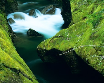 River, Stream, Mossy Rocks, Wall Art, Mt Rainier, Landscape Print, Nature Photography, Pacific Northwest Photo, Washington, Long Exposure