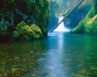 Eagle Creek Falls, Waterfall, Wall Art, Columbia River Gorge, Landscape Print, Nature Photography, Pacific Northwest Photo, Oregon, River
