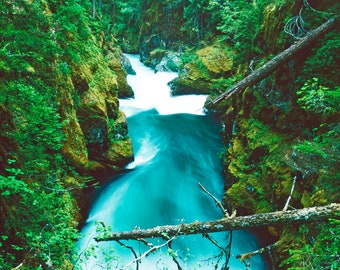 River, Stream, Mossy Rocks, Mt Rainier, Wall Art, Landscape Print, Nature Photography, Pacific Northwest Photo, Washington