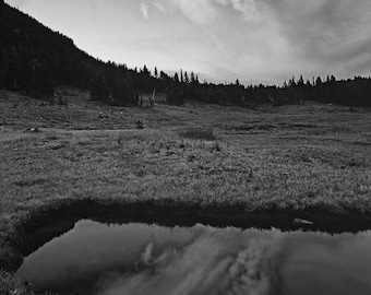 Mt. Rainier, Sunset, Alpine Meadow, Reflection, Wall Art, Black and White, Landscape Print, Nature Photography, Pacific Northwest