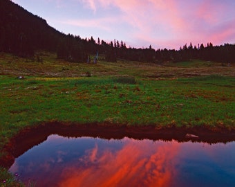 Mt. Rainier, Sunset, Alpine Meadow, Wall Art, Reflection, Landscape Print, Nature Photography, Pacific Northwest Print, Washington