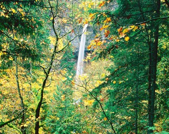 Elowah Falls, Columbia River Gorge, Wall Art, Landscape Print, Nature Photography,  Pacific Northwest, Oregon, Waterfall, Fall Color, Autumn