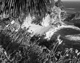 Op de afbeelding: Zwart-witfoto van een kustlandschap met een klein strand, oceaangolven en een waterval. Op de voorgrond hoge planten met witte en gestreepte bloemen. Palmtakken zijn erboven te zien.